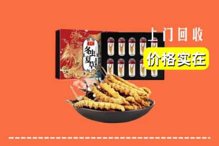 忻州岢岚县回收冬虫夏草