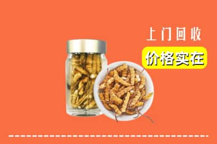 忻州岢岚县回收散虫草