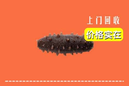 忻州岢岚县回收海参