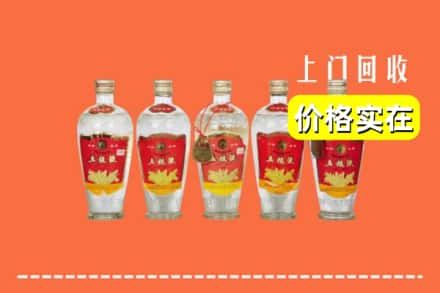 诚信求购:忻州岢岚县高价回收老五粮液